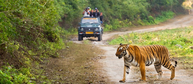 jim corbett img