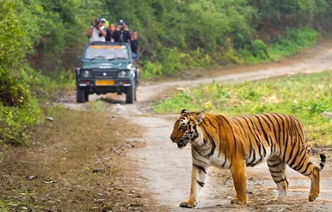 jim corbett img