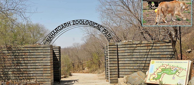 Nahargarh Zoological Park image