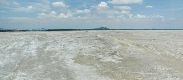 Sambhar Salt Lake image